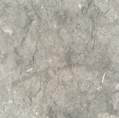 SEAGRASS LIMESTONE