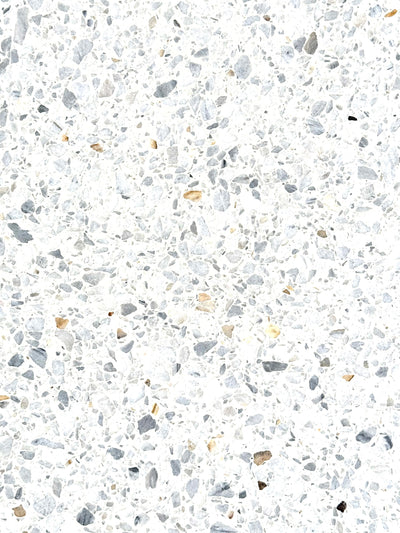 Terrazzo Arctic White Polished Tile 24x24