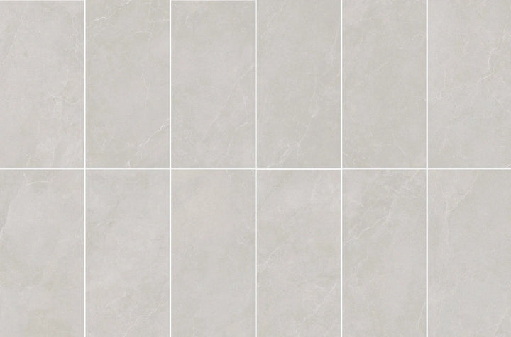 Noble Stone grey porcelain tile 24x48; sheet of 12 tiles with subtle veining