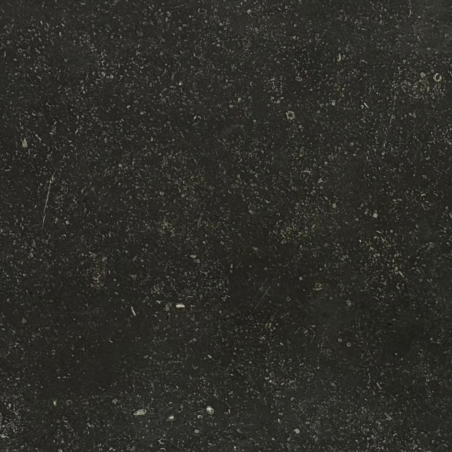 Pierre Bleu Belgian BlueStone limestone wall tile, 16x24, antiqued edge, dark speckled texture.