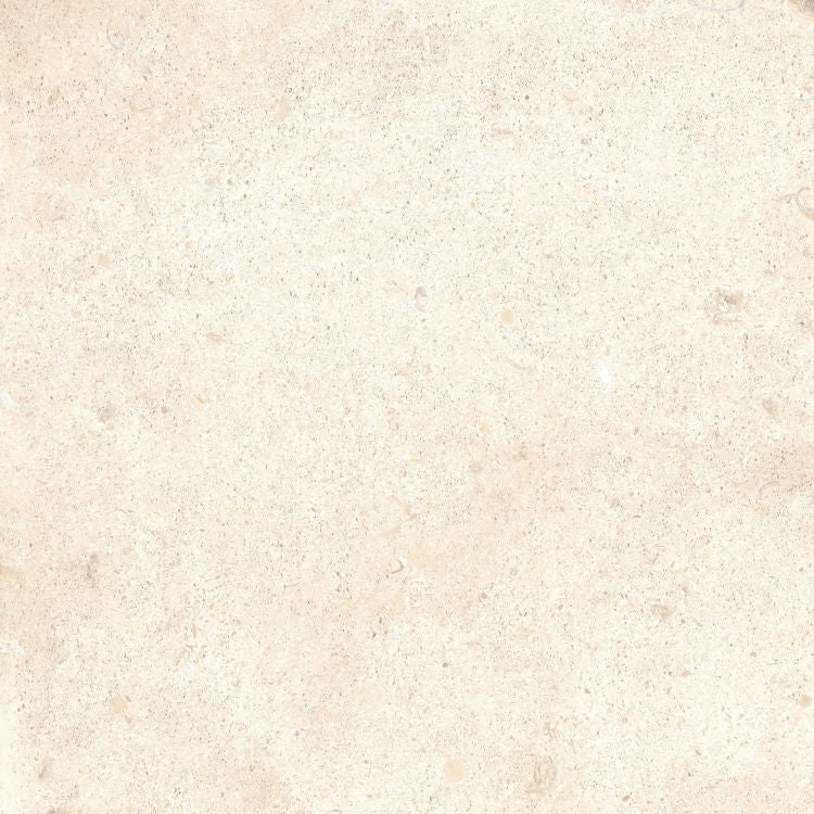 Earth Moon White 2cm Porcelain Paver 24 x 24