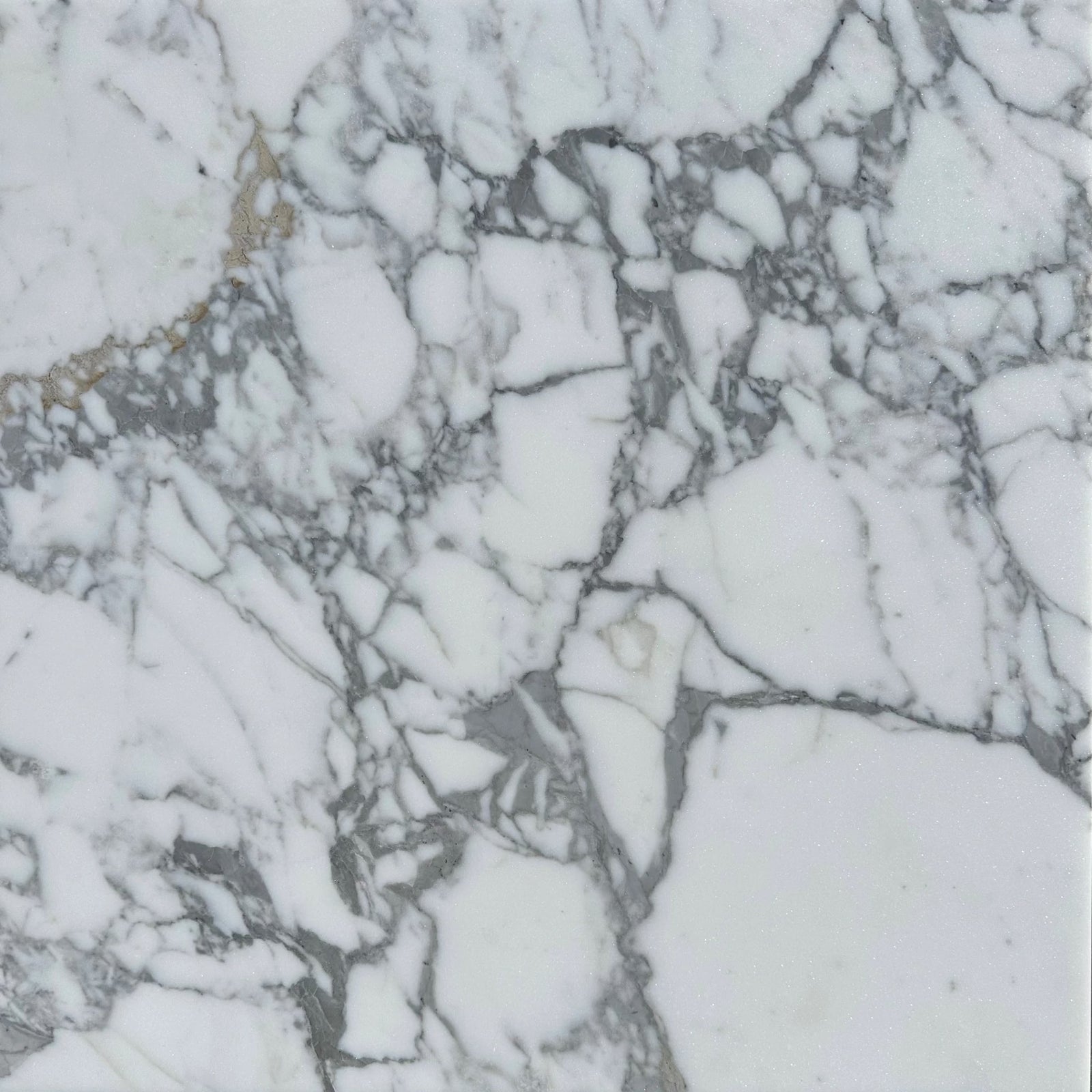 Arabescato 24x24 premium Italian marble tile (honed) in white with gray veining for wall and ceiling tiles