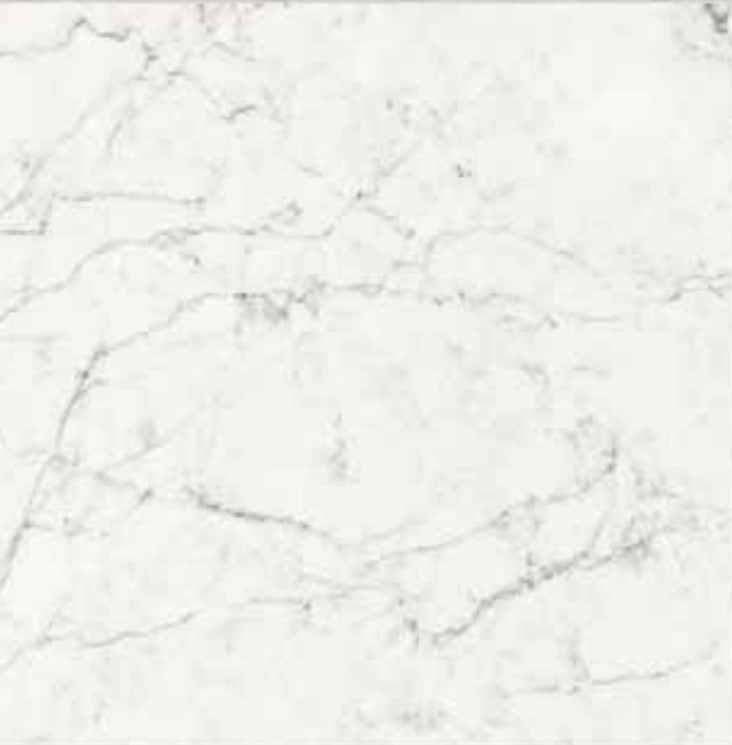 CARRARA GHOST PORCELAIN TILE 12X24 MATTE