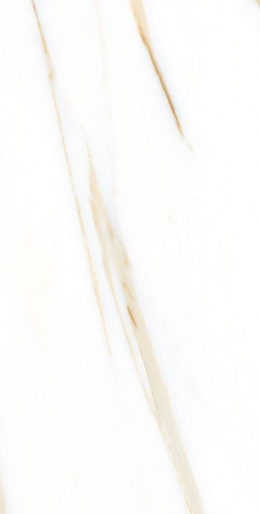 AGL Calacatta Gold Matte 12 x 24 Porcelain Tile