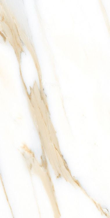AGL Calacatta Gold Matte 12 x 24 Porcelain Tile