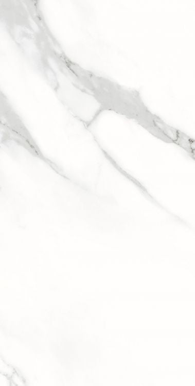AGL Statuario Matte 12 x 24 Porcelain Tile