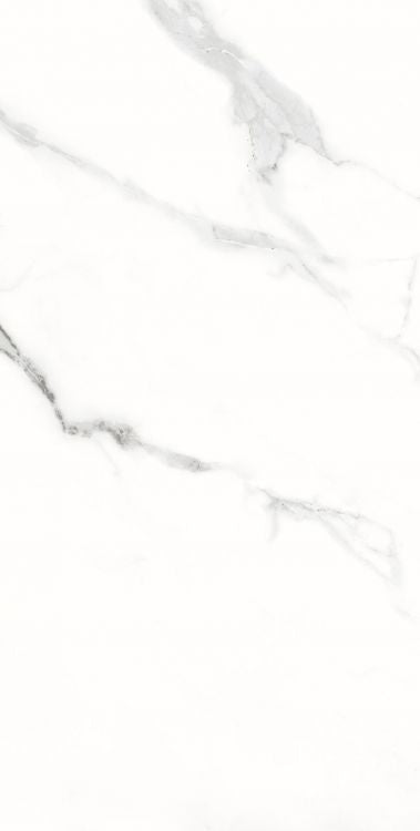 AGL Statuario Matte 12 x 24 Porcelain Tile