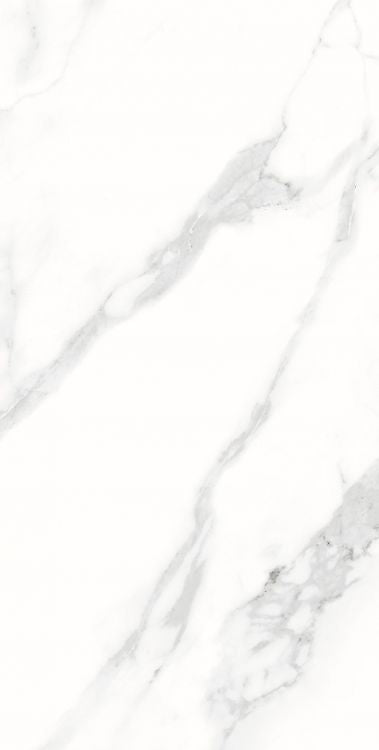 AGL Statuario Matte 12 x 24 Porcelain Tile