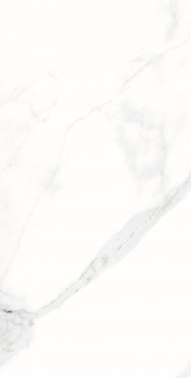 AGL Statuario Matte 12 x 24 Porcelain Tile