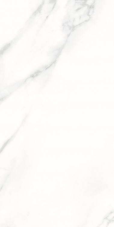 AGL Statuario Matte 12 x 24 Porcelain Tile