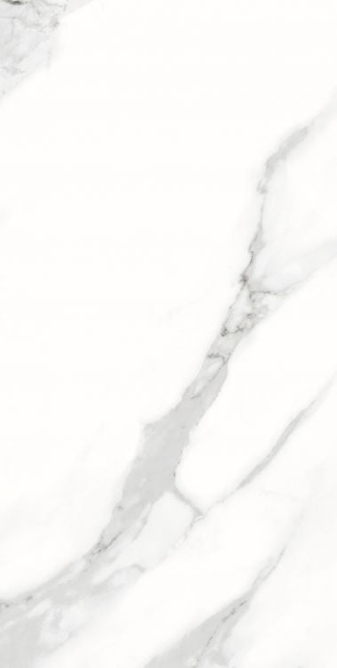 AGL Statuario Matte 12 x 24 Porcelain Tile