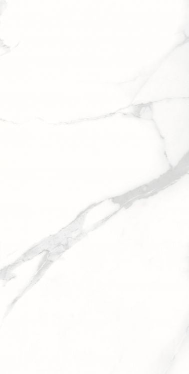 AGL Statuario Matte 12 x 24 Porcelain Tile
