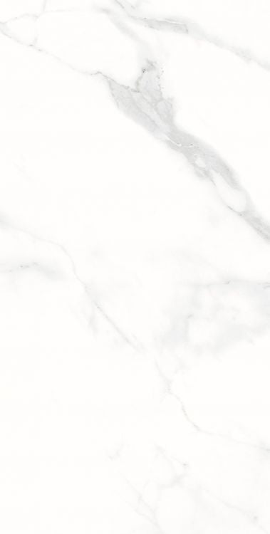 AGL Statuario Matte 12 x 24 Porcelain Tile