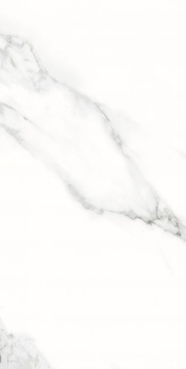 AGL Statuario Matte 12 x 24 Porcelain Tile