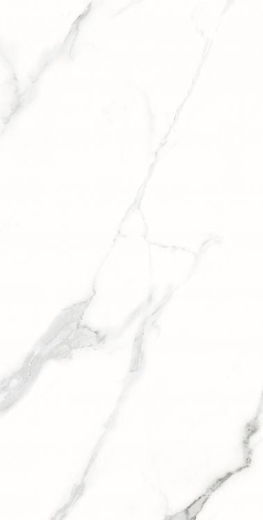 AGL Statuario Matte 12 x 24 Porcelain Tile