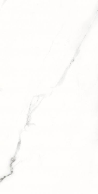 AGL Statuario Matte 12 x 24 Porcelain Tile