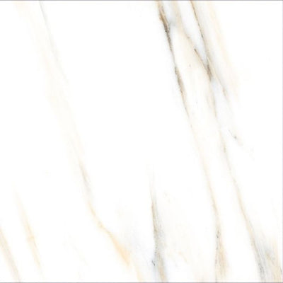 AGL Calacatta Gold Matte 24 x 24