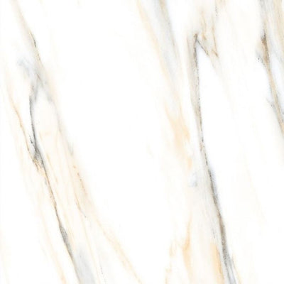 AGL Calacatta Gold Polished 24 x 24