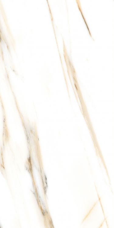 AGL Calacatta Gold Matte 24 x 48