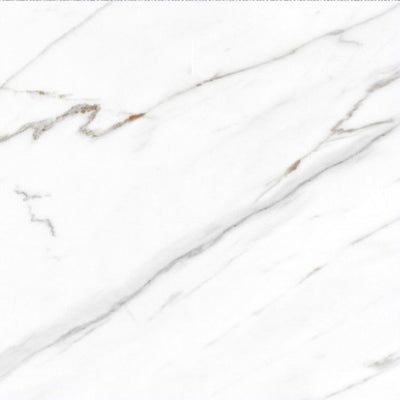 AGL Carrara Matte 24 x 24