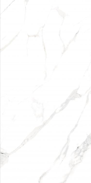 AGL Statuario Matte 24 x 48