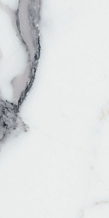 Origines Argent Matte 12 x 24 Porcelain Tile