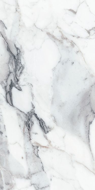 Origines Argent Matte 24 x 48 Porcelain Tile