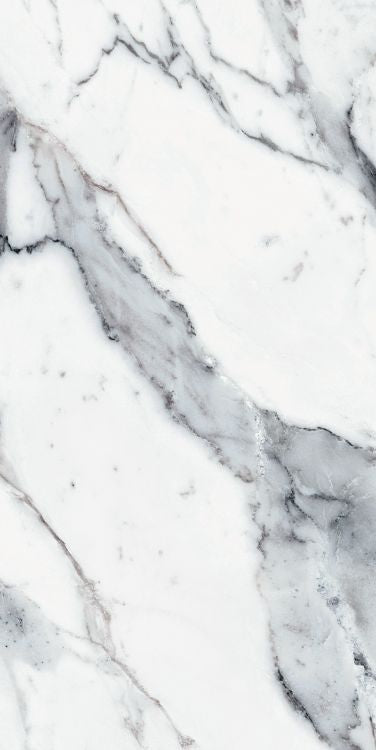 Origines Argent Matte 24 x 48 Porcelain Tile