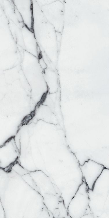 Origines Argent Matte 24 x 48 Porcelain Tile