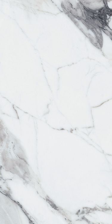 Origines Argent Matte 24 x 48 Porcelain Tile