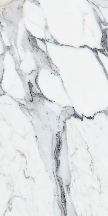 Origines Argent Matte 24 x 48 Porcelain Tile