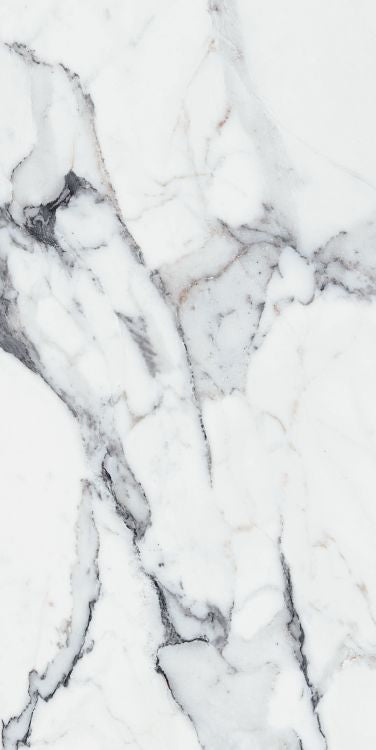 Origines Argent Matte 24 x 48 Porcelain Tile