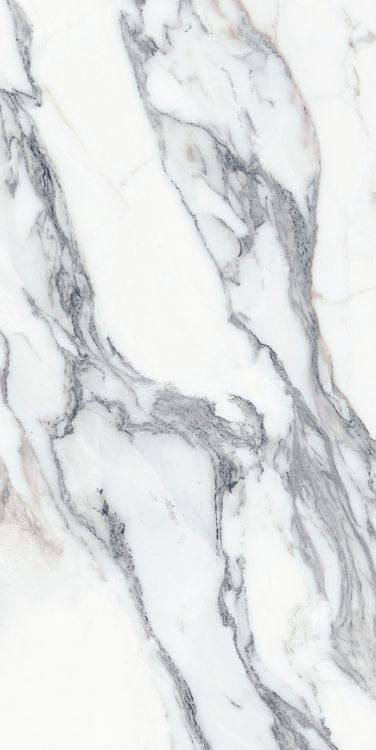 Origines Argent Matte 24 x 48 Porcelain Tile