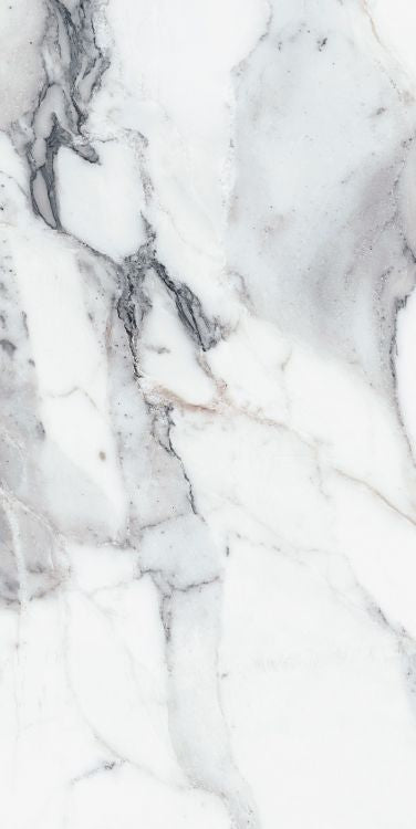 Origines Argent Matte 24 x 48 Porcelain Tile