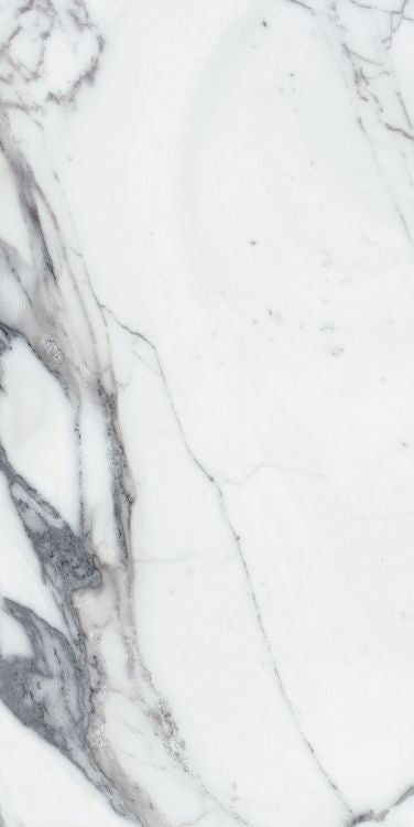 Origines Argent Matte 24 x 48 Porcelain Tile
