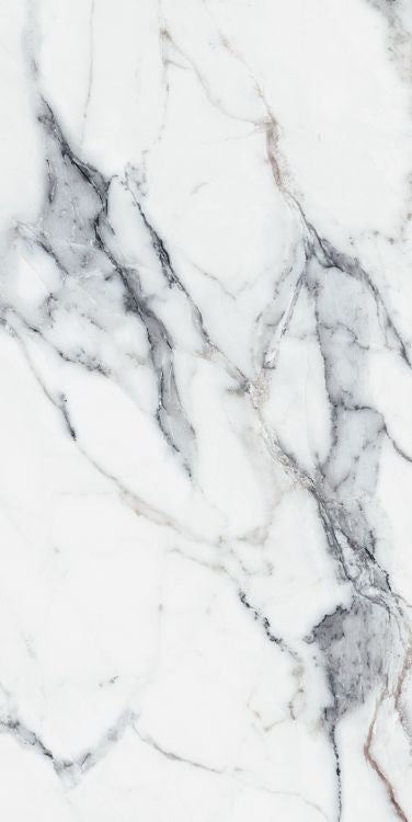 Origines Argent Matte 24 x 48 Porcelain Tile