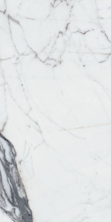 Origines Argent Matte 24 x 48 Porcelain Tile
