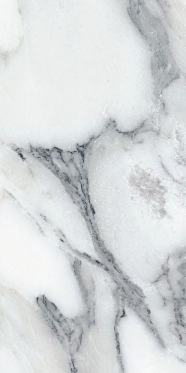 Origines Argent Matte 24 x 48 Porcelain Tile