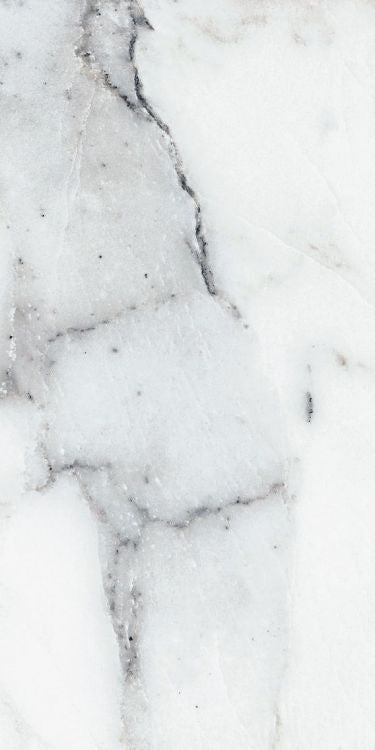 Origines Argent Matte 24 x 48 Porcelain Tile