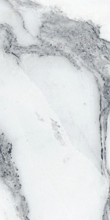 Origines Argent Matte 24 x 48 Porcelain Tile