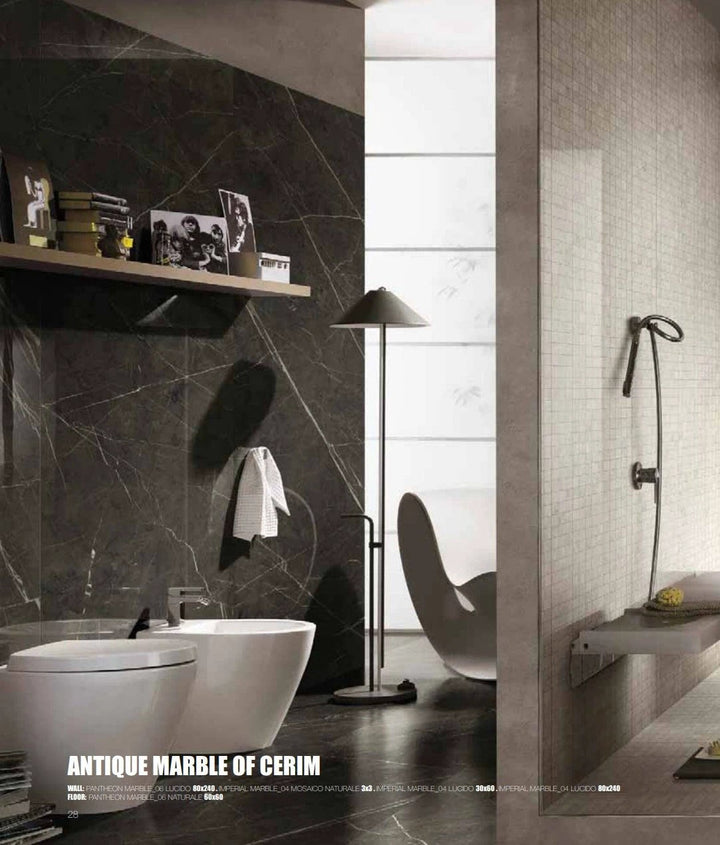 Imperial white porcelain tile 12x24 in a modern bathroom with white paneling and a dark marble wall accent.