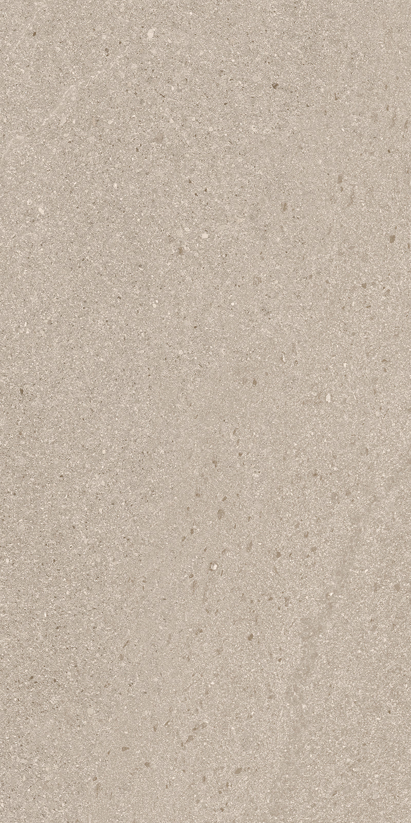 BALTIC TAUPE STRONG PORCELAIN TILE 24X48