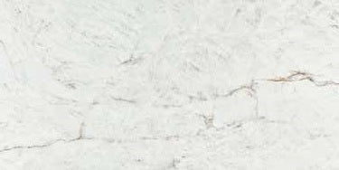 CRYSTAL WHITE MATTE PORCELAIN TILE 24X48