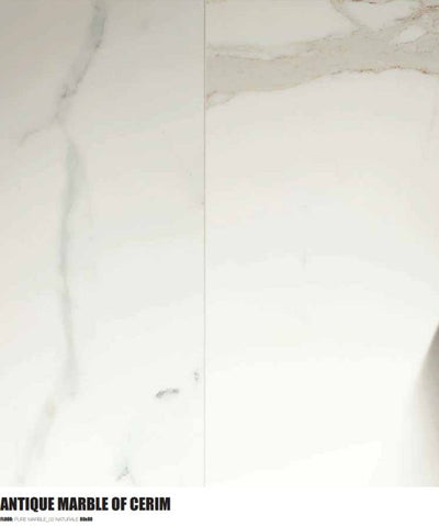 CALACATTA PURE PORCELAIN TILE 12X24 POLISHED