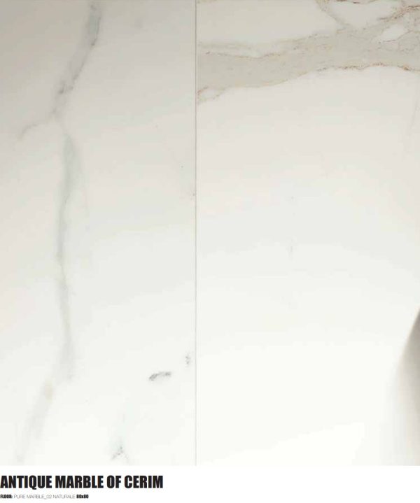 CALACATTA PURE PORCELAIN TILE 12X24 POLISHED
