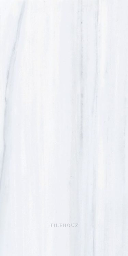 AN Dolomite Supreme Matte 12 x 24 Porcelain Tile in white with gray veining by Tilehouz