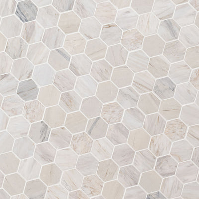 Agoura Marble Polished 2" Hexagon Mosaic