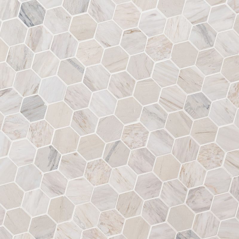 Agoura Marble Polished 2" Hexagon Mosaic