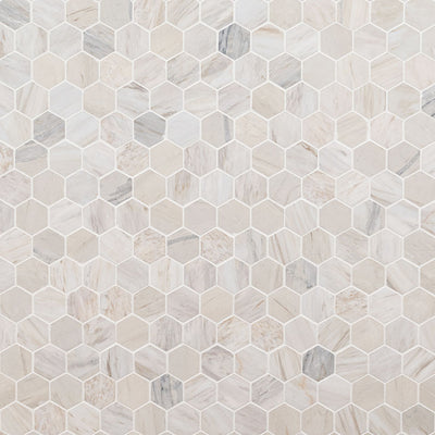 Agoura Marble Polished 2" Hexagon Mosaic