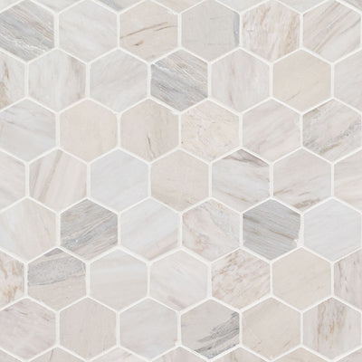 Agoura Marble Polished 2" Hexagon Mosaic